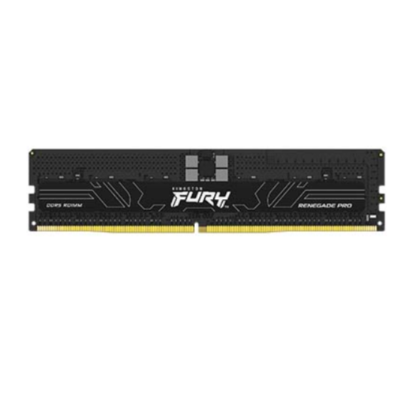 kingston/金士頓 Renegade Pro DDR5 RDIMM 內存